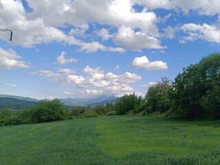 field and sky