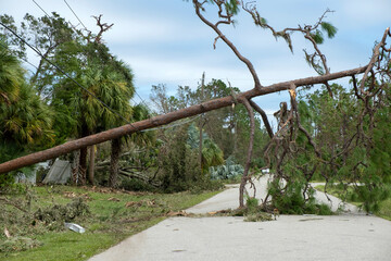 Electricity outage as consequences of natural disaster. Damaged power lines after hurricane wind...