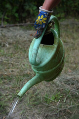 Gardening Woman with a Watering Can in Hand