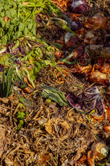 Organic Composting of Food Waste – Eco-Friendly Agricultural Compost Pile with Decomposing Scraps, Sustainable Farming Practices, Natural Recycling Process for Soil Enrichment and Zero Waste Gardening