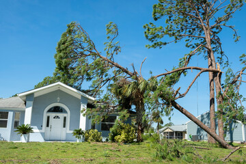 Hurricane damage to a house roof in Florida. Fallen down big tree after tropical storm winds. Consequences of natural disaster © bilanol