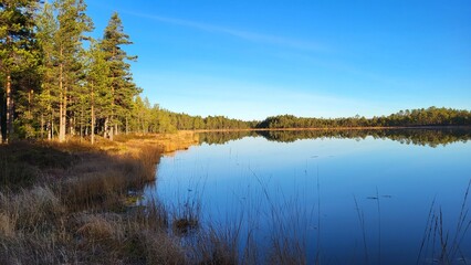 lake in autumn forest 
