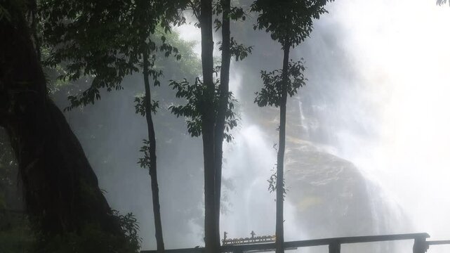 Natural video background of water from a high waterfall on a big mountain, amidst big trees in a tropical forest, with ferns, moss, flowers, cool and windy atmosphere during a nature trip.