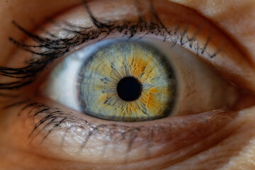 Close-up macro shot of a human eye with a striking combination of green and orange in the iris,...
