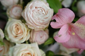 Beautiful Bouquet of Mixed Flowers