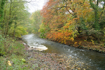 Calm shallow river in Autumn