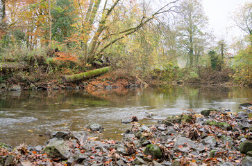Fallen moss covered log next to a river in Autumn