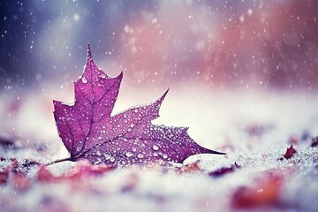 Fototapeta premium A leaf with water droplets on it is on a snowy ground