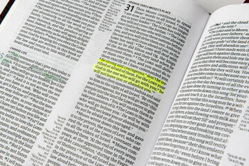 Deuteronomy 31:6