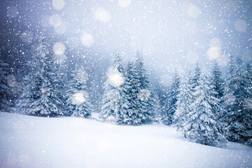 snow covered fir trees in heavy snowfall - Christmas background