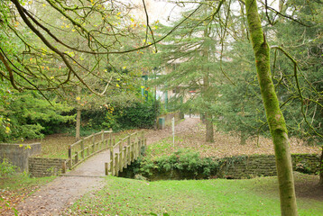 Small footbridge in a park