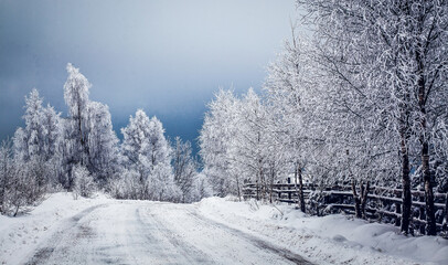  snowy winter landscape