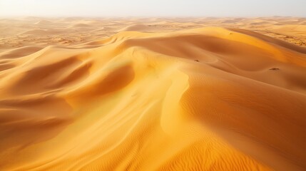 The expansive golden sand dunes stretch endlessly under the clear blue sky, highlighting the serene beauty of the desert landscape in daylight