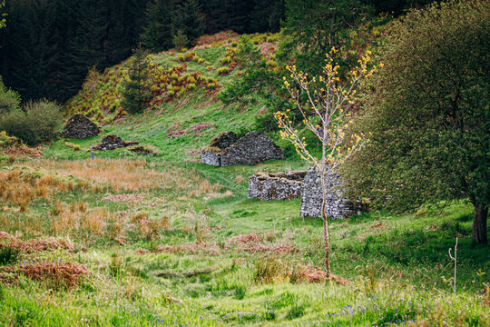 In Knapdale Forest, near the edge of Loch Coille Bharr, Argyll, Scotland you can discover the remains of the township called Kilmory Oib. One of the earliest known references is in the 1694 Hearth Tax