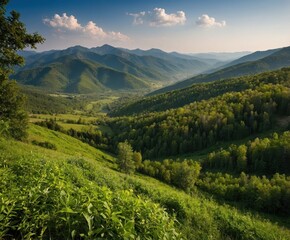 landscape in the mountains