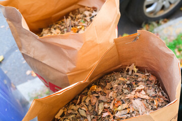 Brown paper bags filled with fallen autumn leaves sit on the curb, ready for collection. A seasonal...