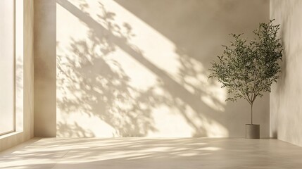 Minimalist Interior with Sunlight and a Single Plant