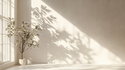 Minimalist Room with Sunlight Casting Leaf Shadows on a White Wall