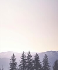 Misty Mountain Pines