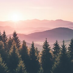 Fototapeta premium Misty Mountain Sunrise Landscape