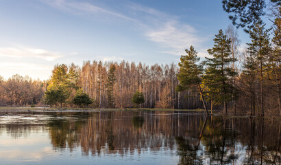 Lake with trees in the background