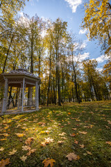 A white gazebo sits in a field of autumn leaves