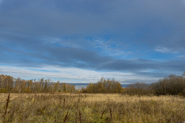 Obraz premium A field of tall grass with a cloudy sky in the background