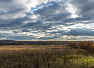 Fototapeta premium A field of tall grass with a cloudy sky in the background