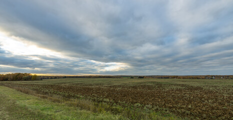 Fototapeta premium A field of tall grass with a cloudy sky in the background