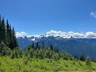 Fototapeta premium Snow Capped Mountains