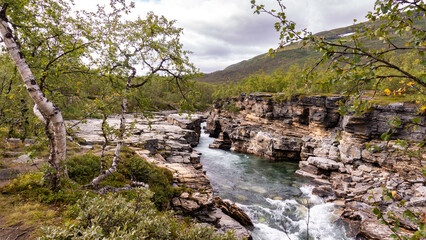 Dramatic scenery shows landscape in Abisko national park with wild river, rocky cliffs and green birch forest typical for nordic nature during grey cloudy day of autumn season. Sweden