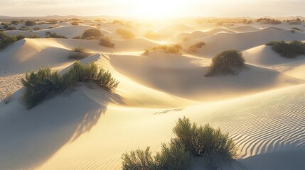 Sunset over Sand Dunes