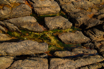 Wall stone nature at the A Coruña beach, perfect for wallpapers, background and home decoration