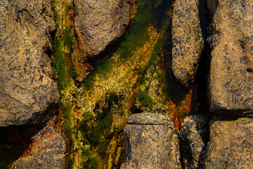 Wall stone nature at the A Coruña beach, perfect for wallpapers, background and home decoration