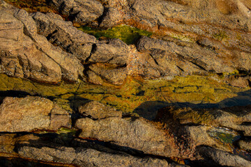 Wall stone nature at the A Coruña beach, perfect for wallpapers, background and home decoration