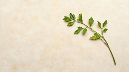  A leafy branch against a beige backdrop offers space for text or imagery