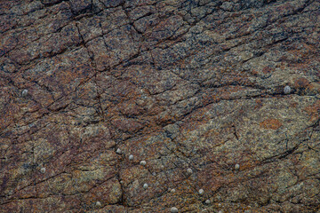 Wall stone nature at the A Coruña beach, perfect for wallpapers, background and home decoration