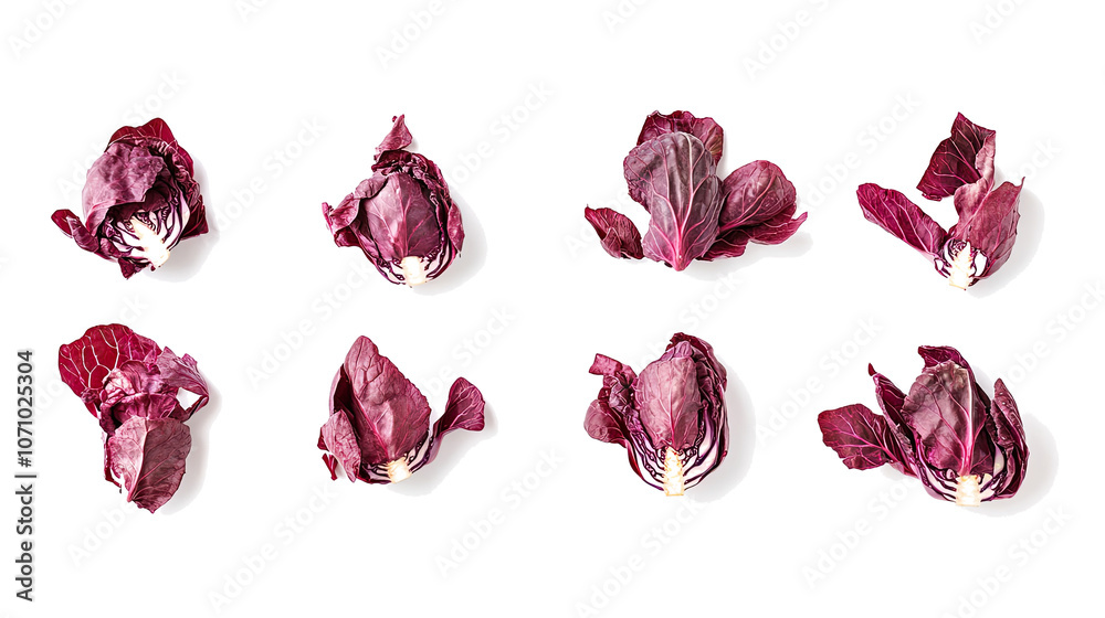 Poster front views of fresh red cabbage arranged on a transparent background generative ai