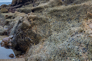 Wall stone nature at the A Coruña beach, perfect for wallpapers, background and home decoration