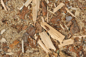 Background, texture of sawdust, shavings, pieces and chips of wood, boards, logs at a sawmill in the forest outdoors. Photograph, top view.
