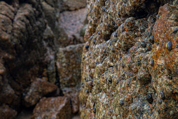Wall stone nature at the A Coruña beach, perfect for wallpapers, background and home decoration
