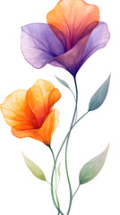Vibrant Floral Illustration with Watercolor Flowers and Colorful Petals