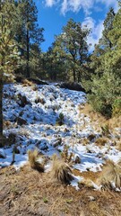 hiking and mountain ecotourism in Toluca