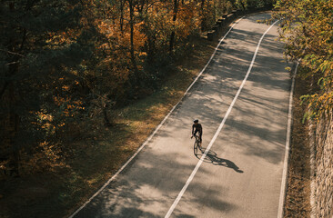Cyclist rides along a scenic autumn road. Sunlight casts long shadows on the asphalt. Perfect for active lifestyle, travel, and nature themes. Romania. Carpathian Mountains. Transylvania