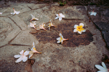 Vung Tau Beach with Blue Sky Flowers and Mother Mary Statue Scenic Coastal View with Coffee Shop Nearby High quality photo