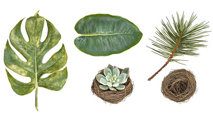 Naklejka premium Monstera Rubber and Ferns Generative AI