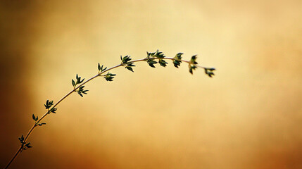   Close-up of a plant with tiny leaves on its stem, set against a yellow-orange backdrop