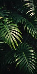 Vibrant Monstera leaves hang gracefully, bathed in soft sunlight filtering through the canopy of a tropical rainforest, creating a serene atmosphere. Generative AI