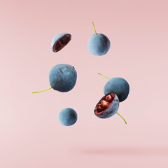 Fresh green Mahonia or oregon grape berries falling in the air isolated on pink background