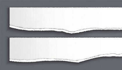 Set of white torn or ripped paper sheet. Scrapbook edge, notebook tear or blank page 